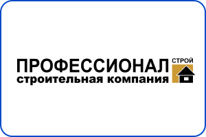 ООО Профессионал-logo